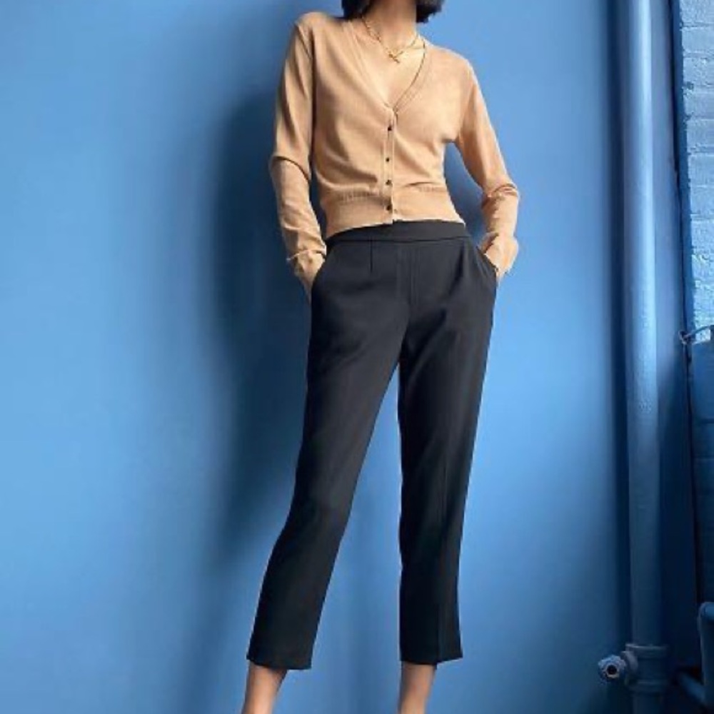 Aritzia babaton Conan pant